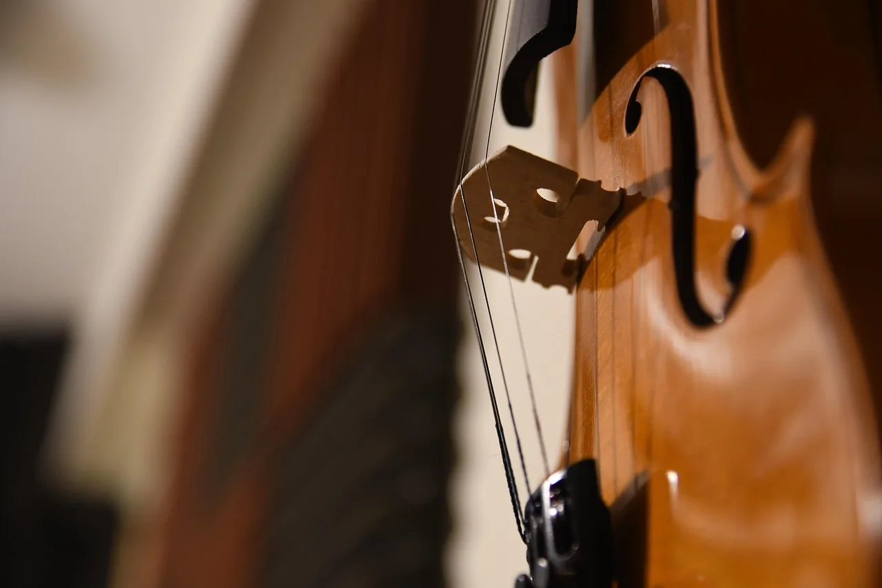 Cello used in orchestral composition Cello used in orchestral composition